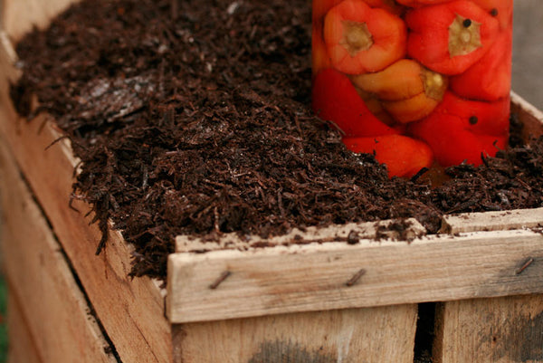 Mushroom Compost