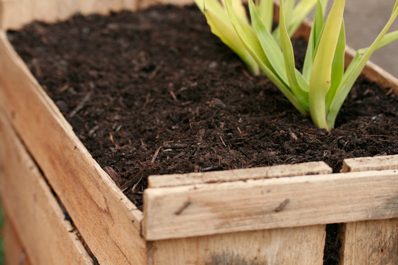 Organic Compost Bagged