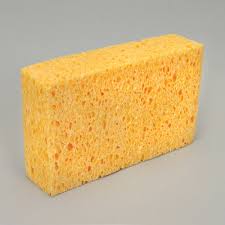 Sponge