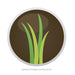 Bamboo Stakes 900mm (QTY 15)