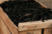 Black Mulch Bagged