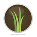 supply you with the best premium soil and compost in Melboure